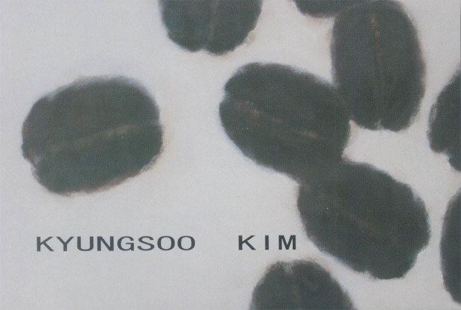 KIM Kyungsoo展DM060529-0603画像
